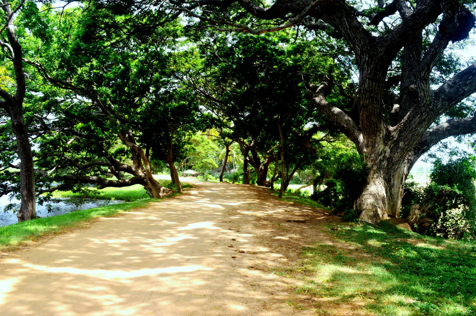 Гостевой Дом Lavanya Lakeside