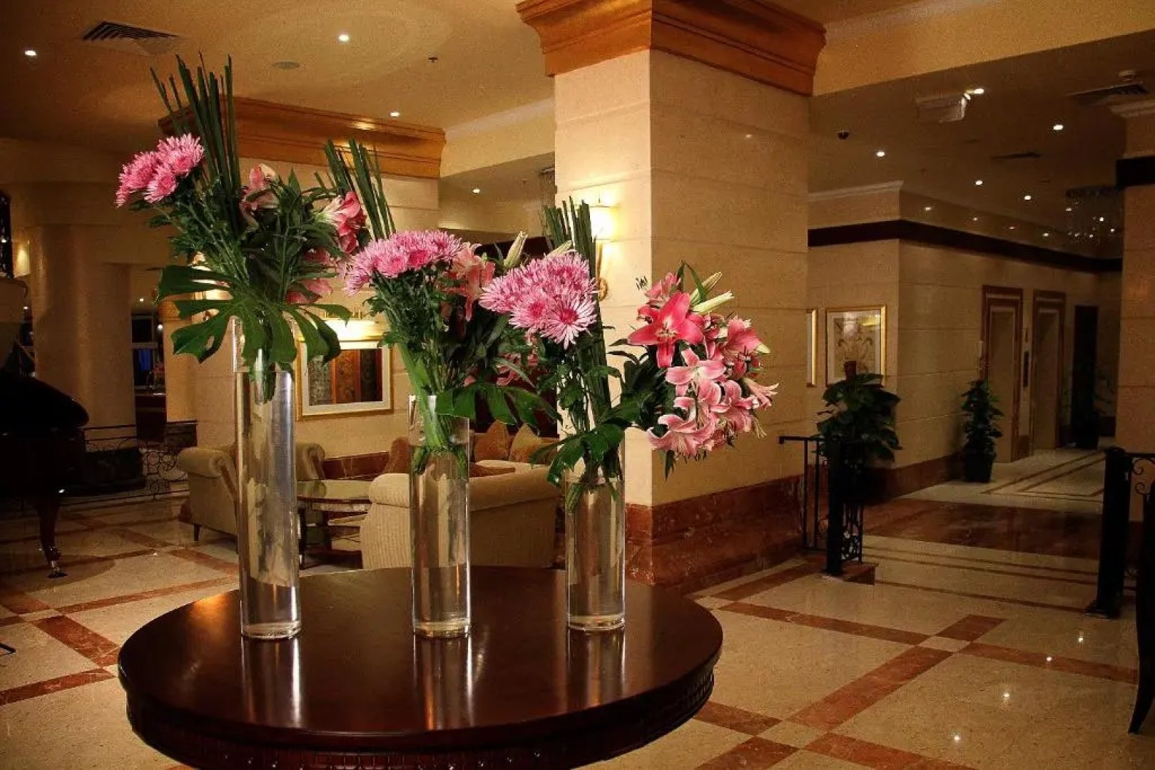 Отель Tolip Hotel Alexandria