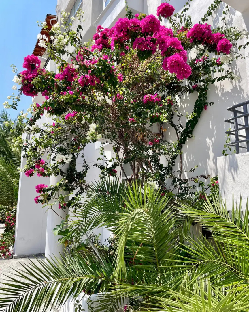 Апарт-отель Rix