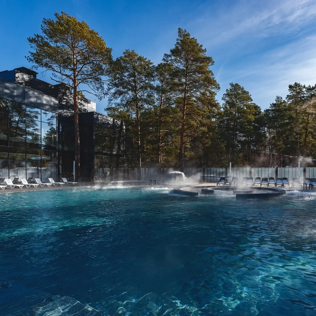 Отель Лесники