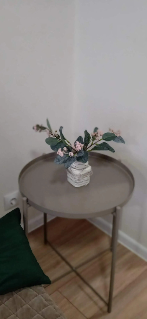 Апартаменты Lesnoe