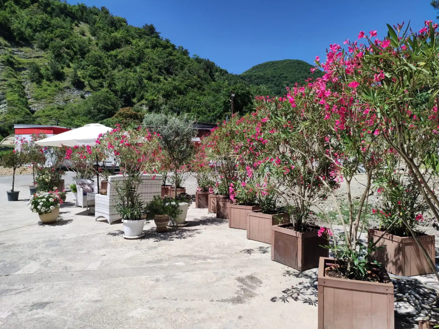 Гостевой дом Уда-ча