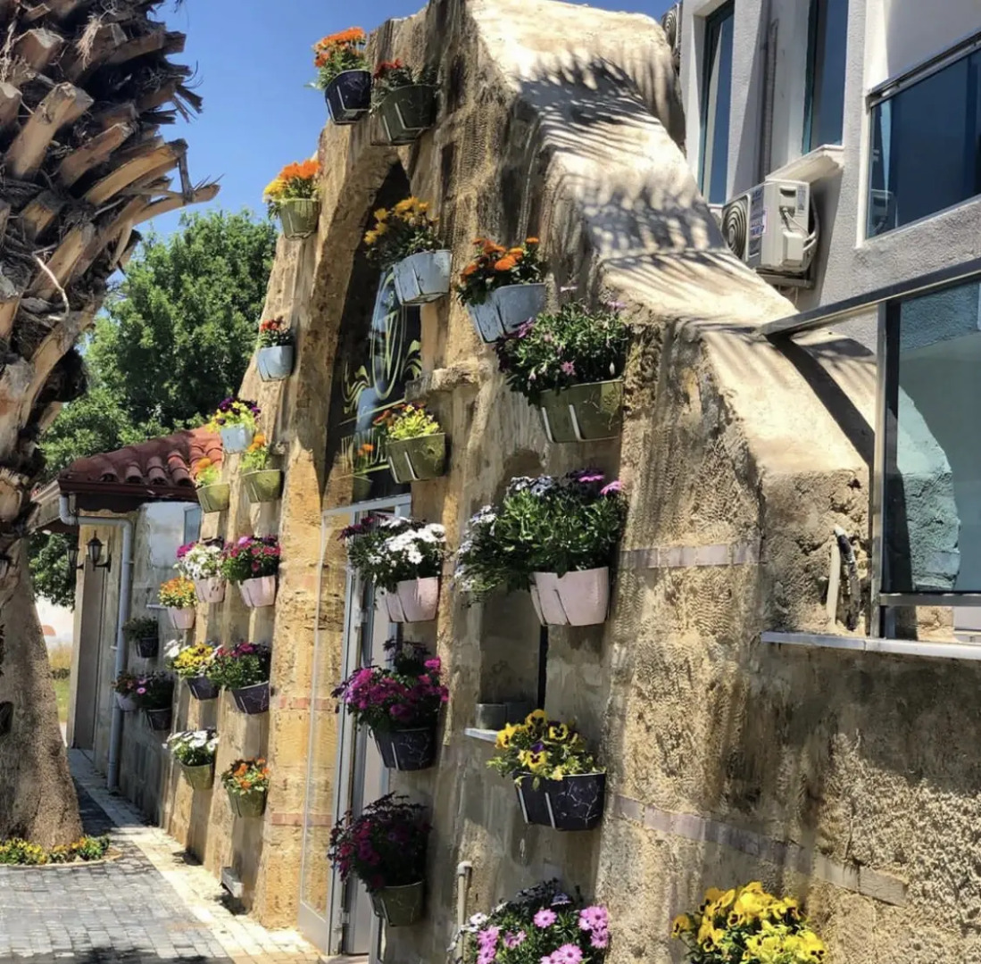 Отель Wonder Life