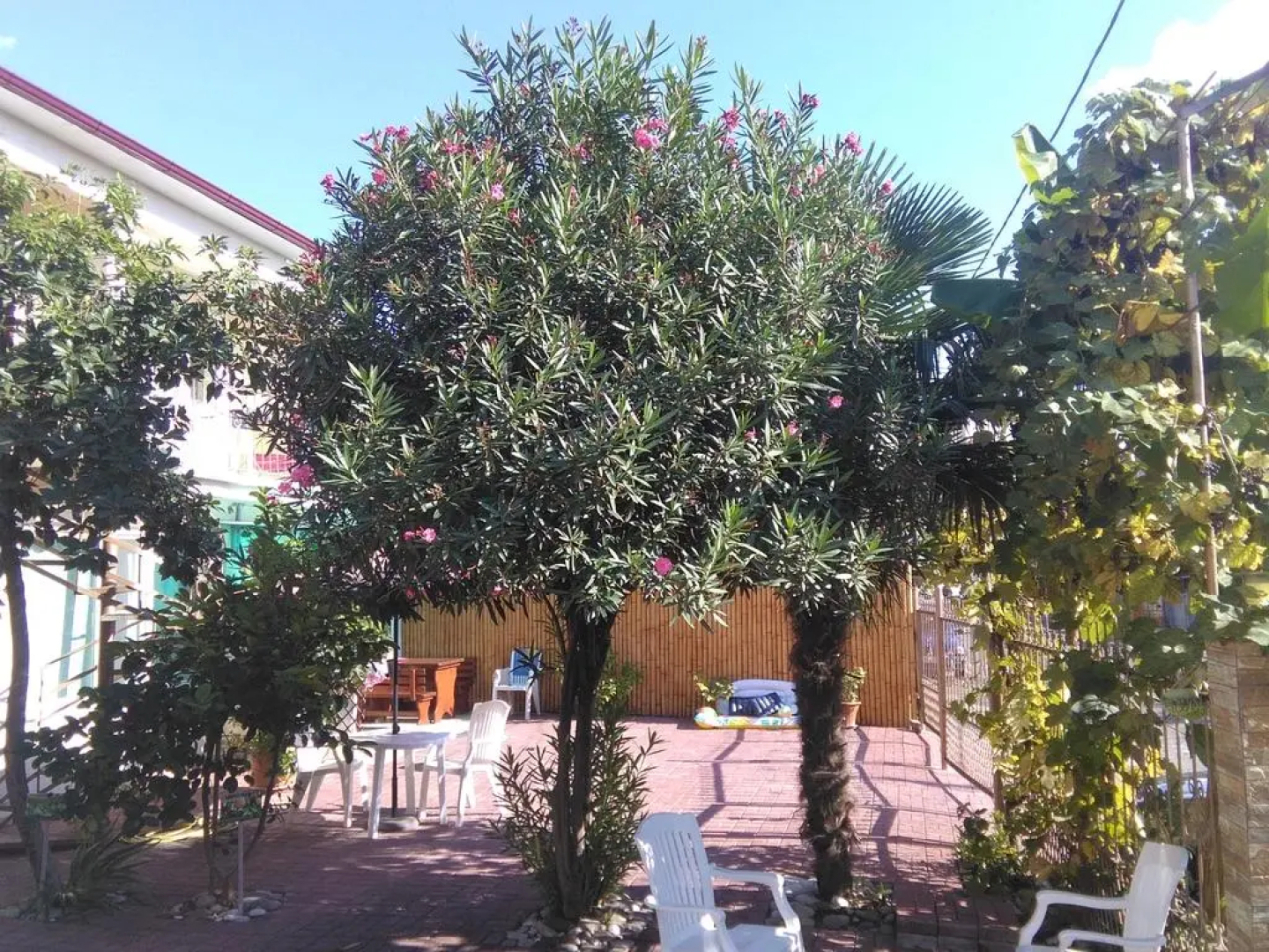 Мини-отель Marco Club