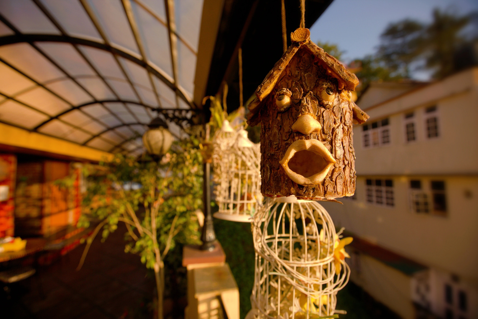 Отель Willow Banks