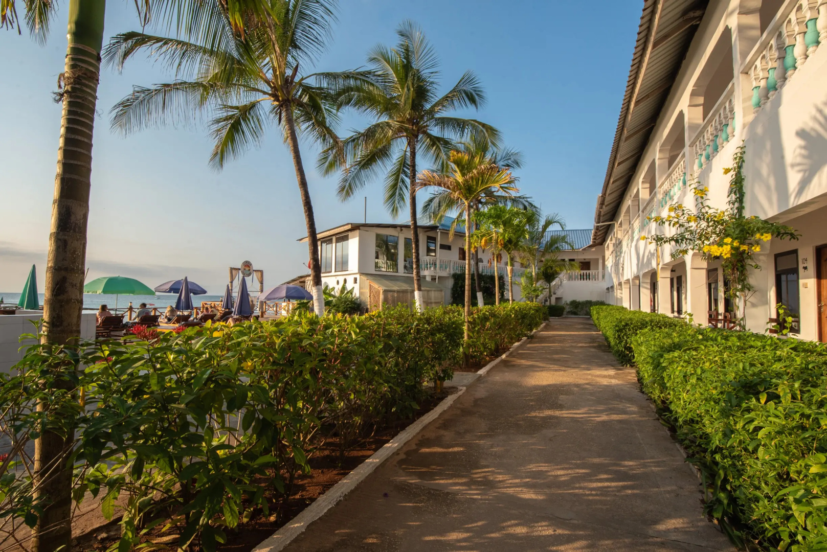 Отель Zenobia Beach Resort