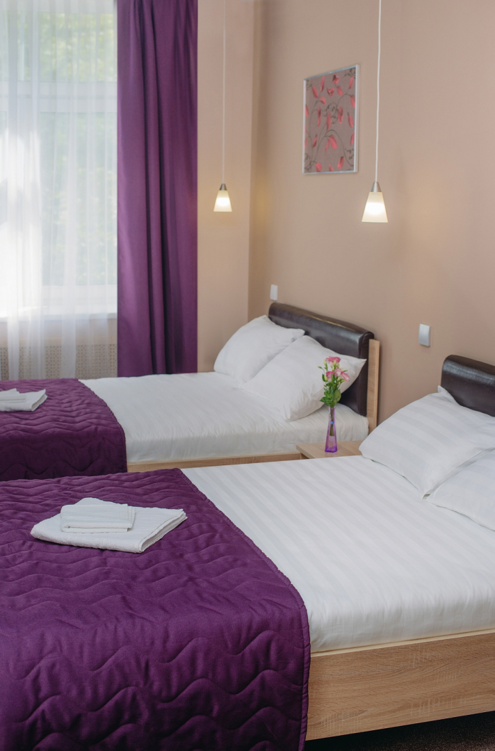 Отель Ring Road