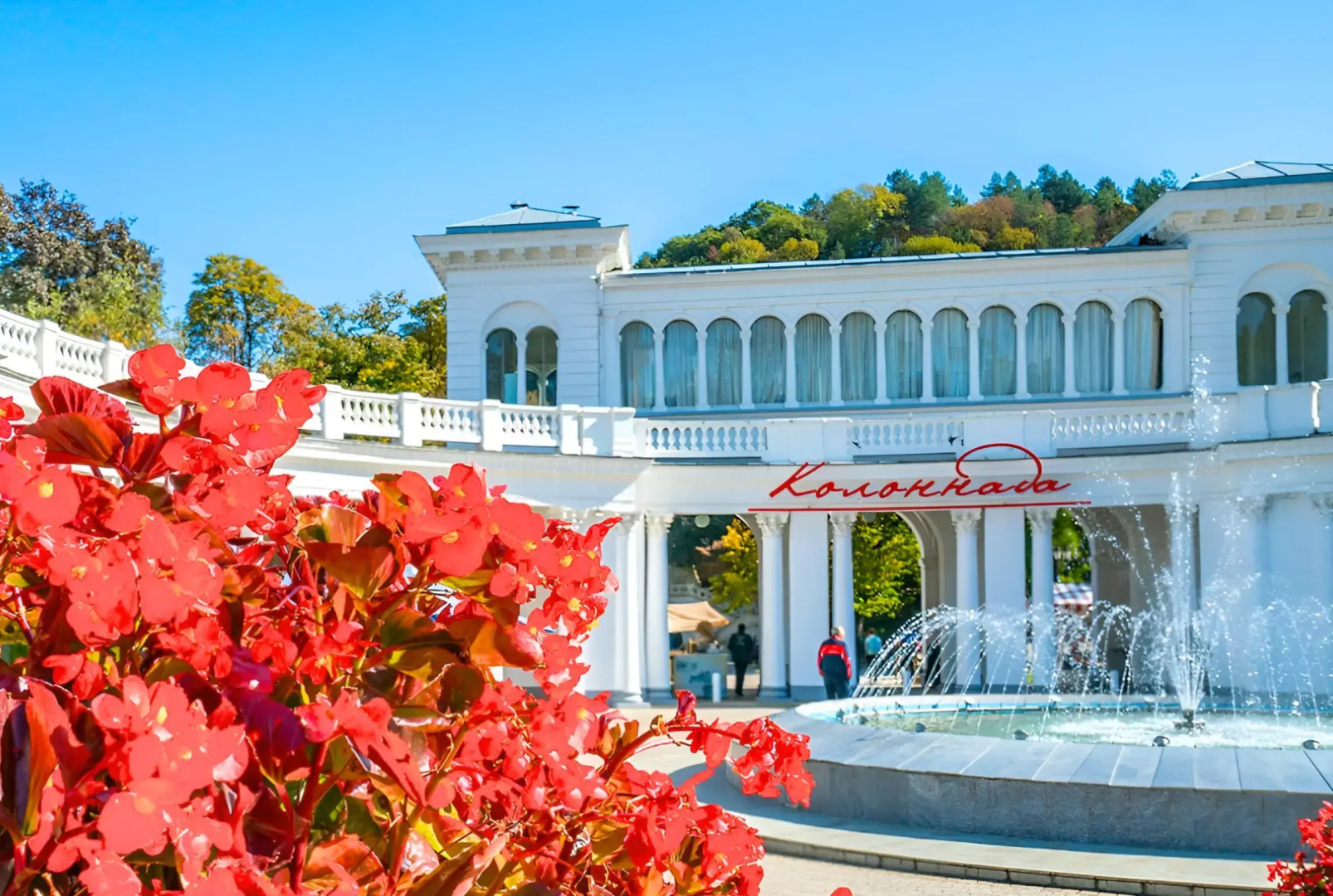 Апартаменты Кольцова Гостеприимный