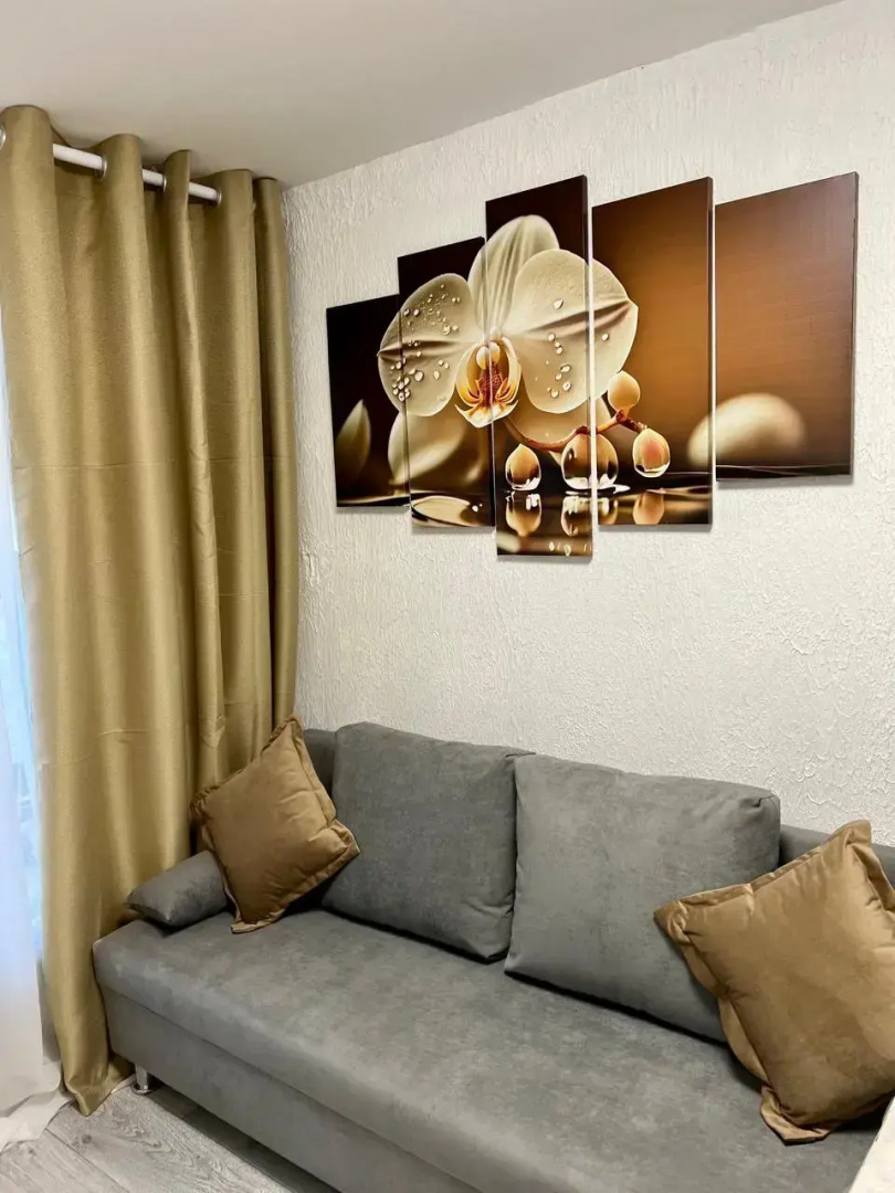 Апартаменты N3 на Петроградке