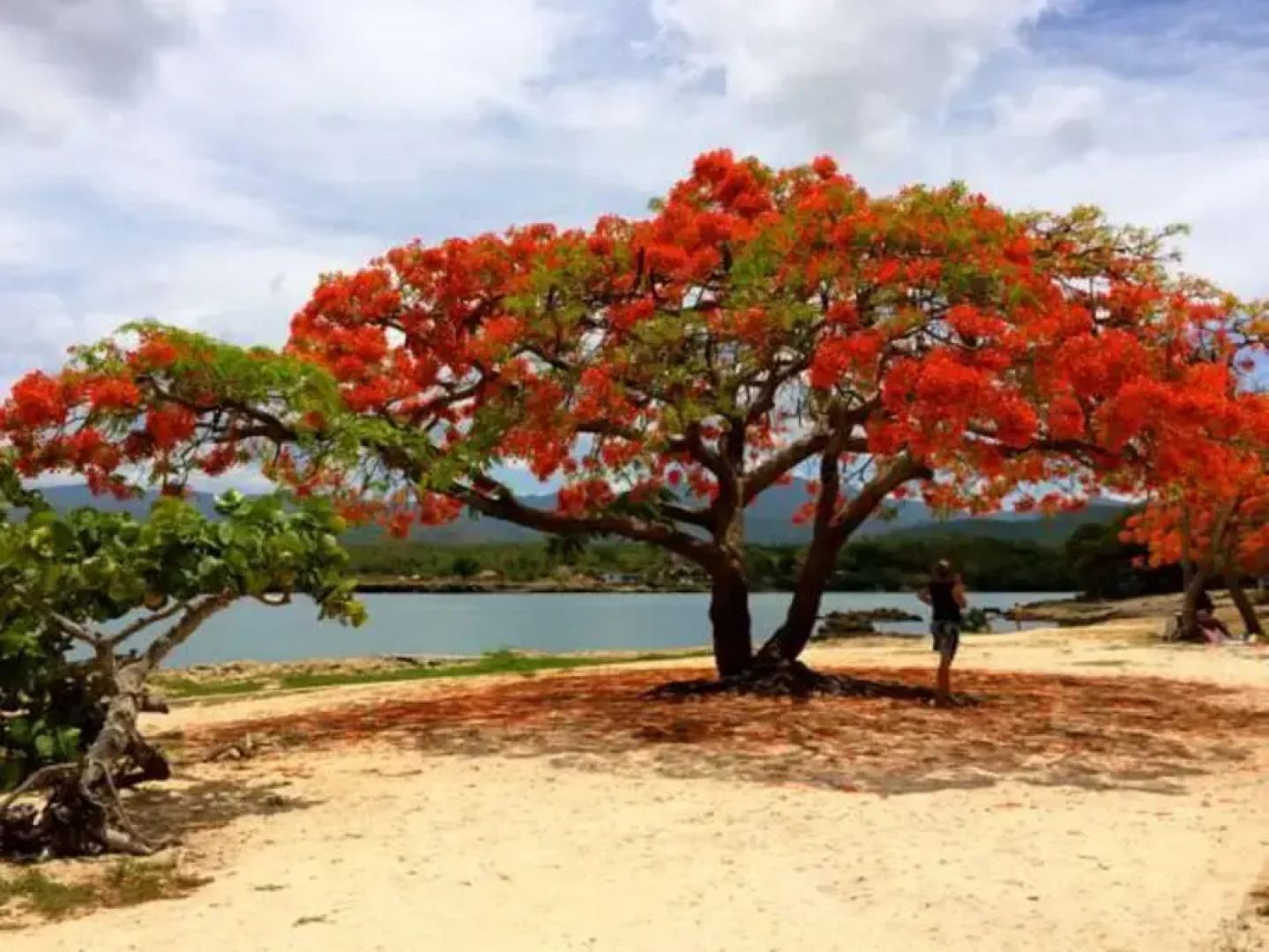 Гостевой Дом CUBA
