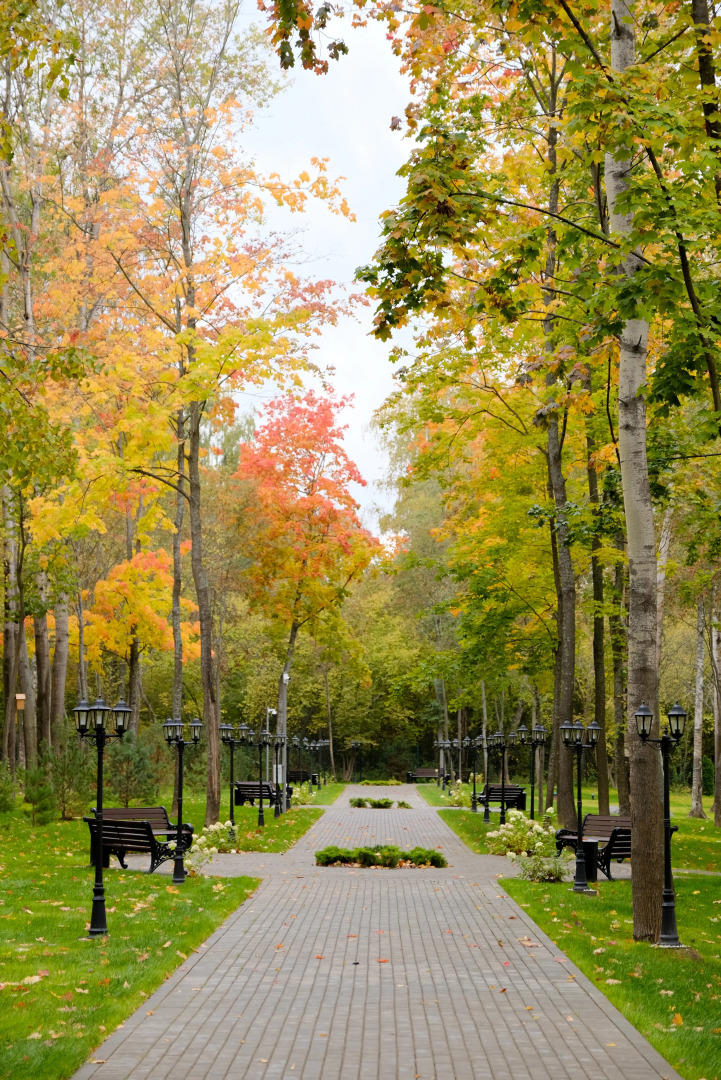 Отель M’Istra’L Hotel & SPA