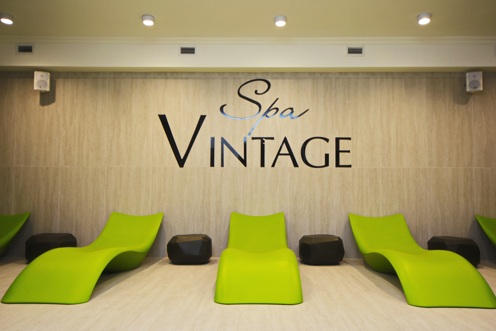 Отель Spa Hotel VINTAGE