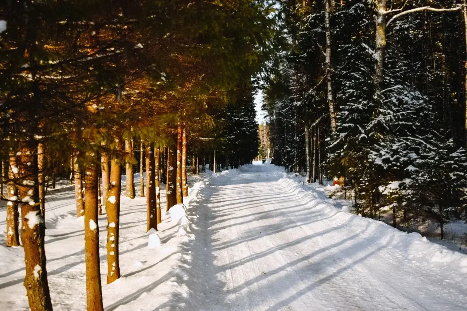 База Отдыха Сахареж