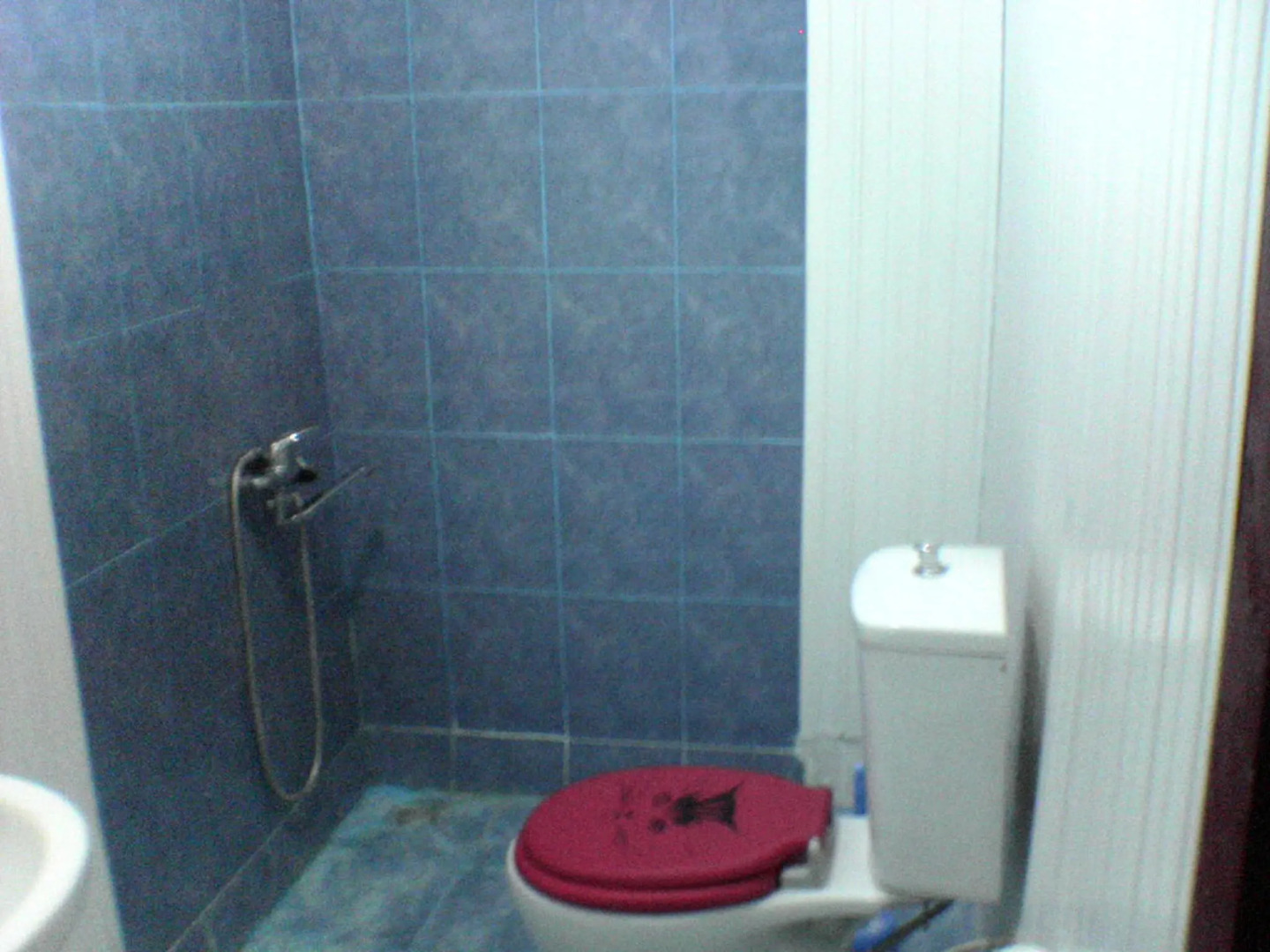 Гостевой дом у моря Zeleny dom