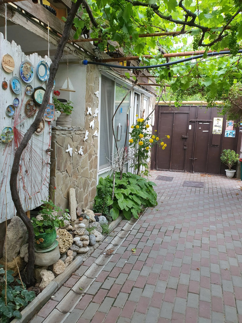 Меблированные комнаты Ясень