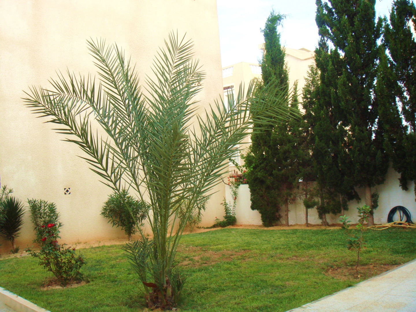 Вилла Азаиза