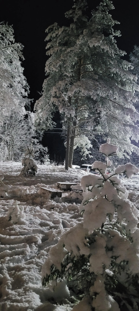 Частный дом Коттедж Аскелма-Ольха