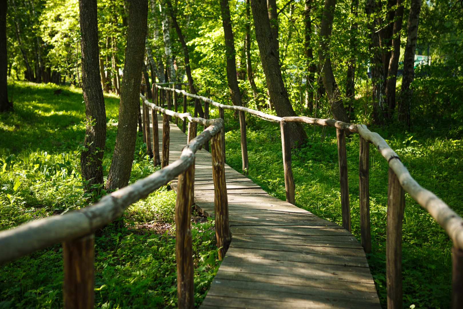 База Отдыха Эко-Клуб Голицыно