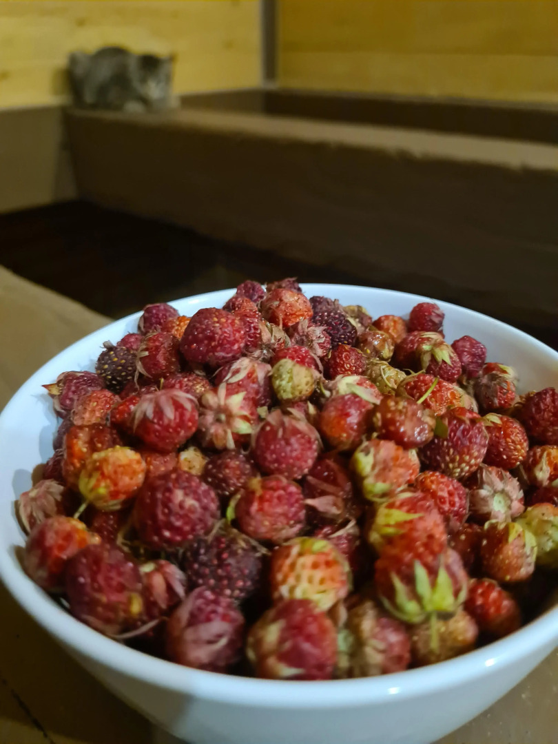 Частный дом Гора U Дачи