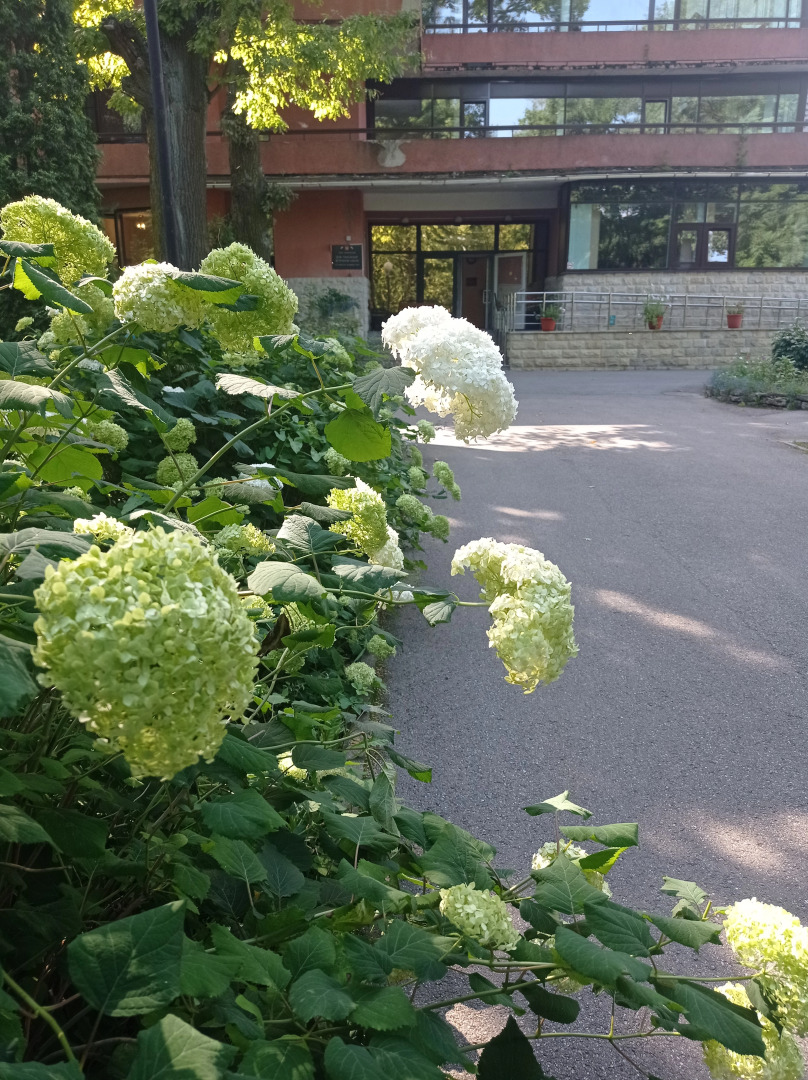 Санаторий СПб Дом-Пансионат Ветеранов Науки Российской Академии Наук