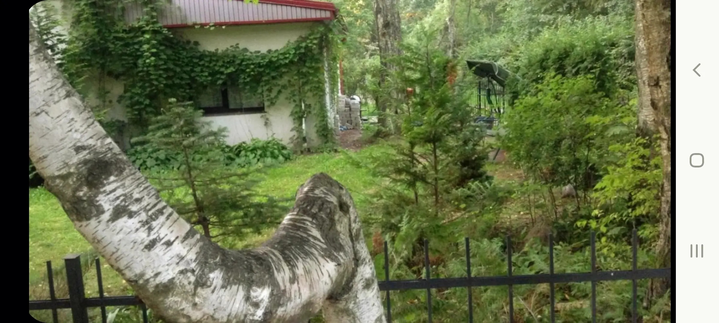 Апартаменты Студия Red в Центре Рядом с Янтарь-Холлом