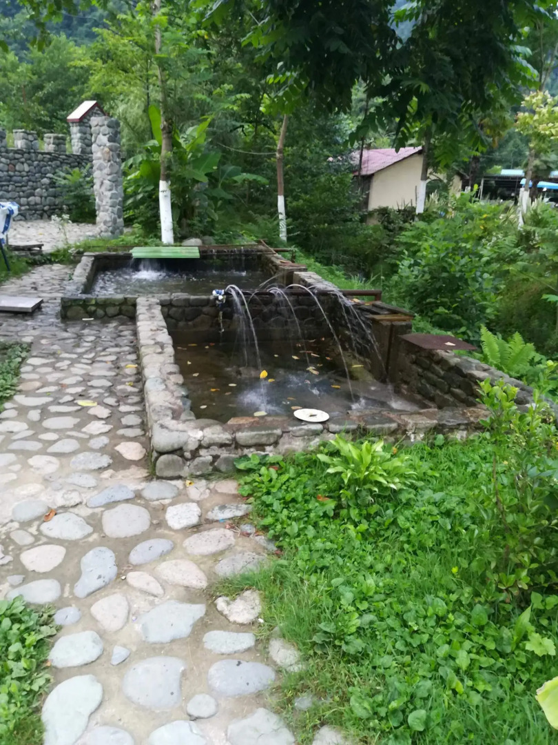 Отель Hey Georgia