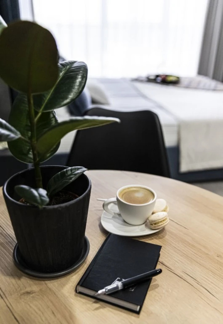 Апартаменты Пушкин г.Краснодар 3