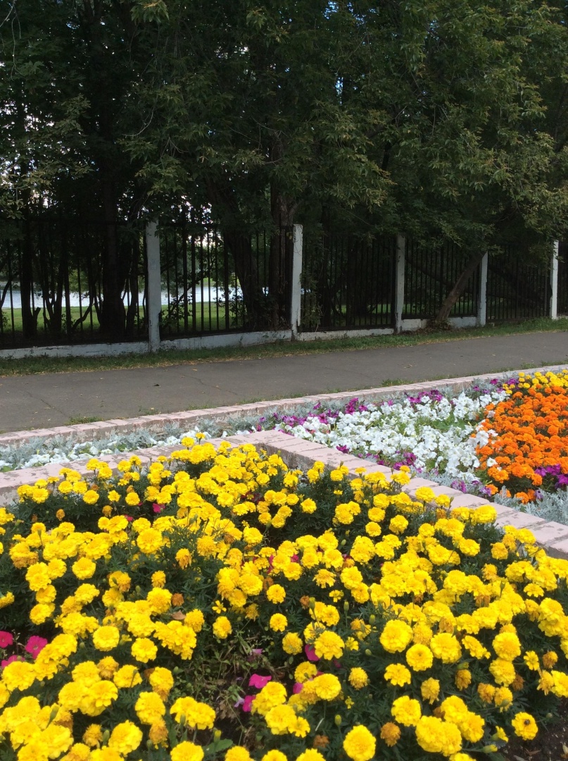 Гостиница Москвич
