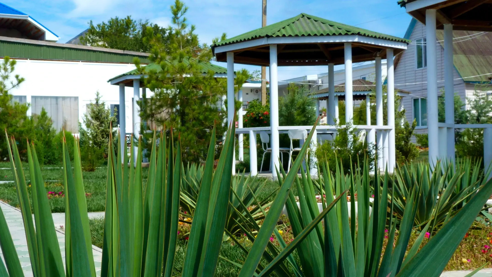 База отдыха Дружба