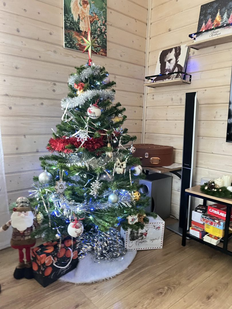 Частный дом в соснах