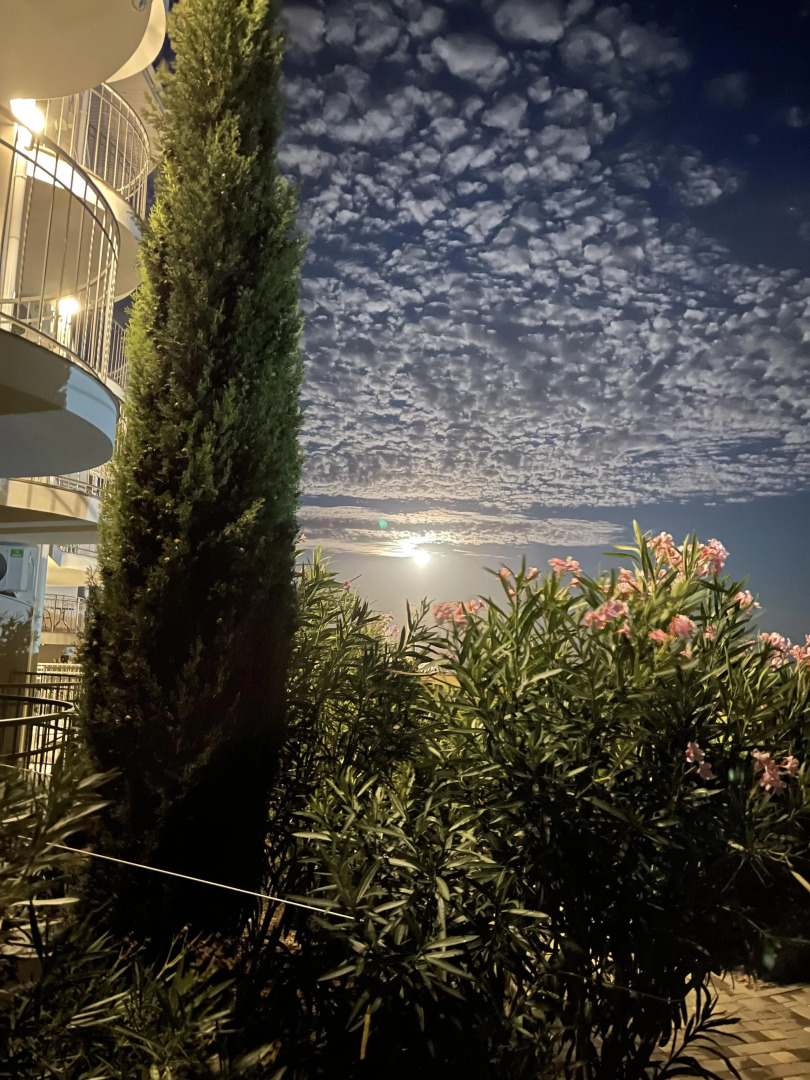 Гостевой дом The SOFI Family House