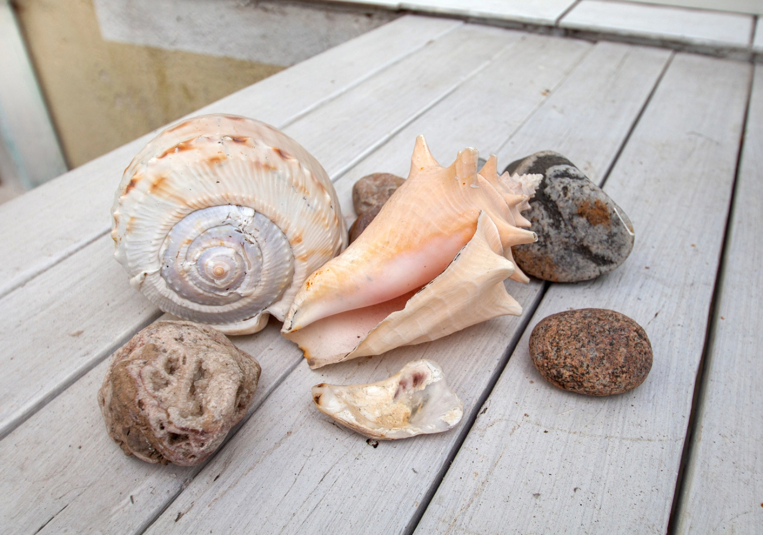 Апартаменты Студия в Центре