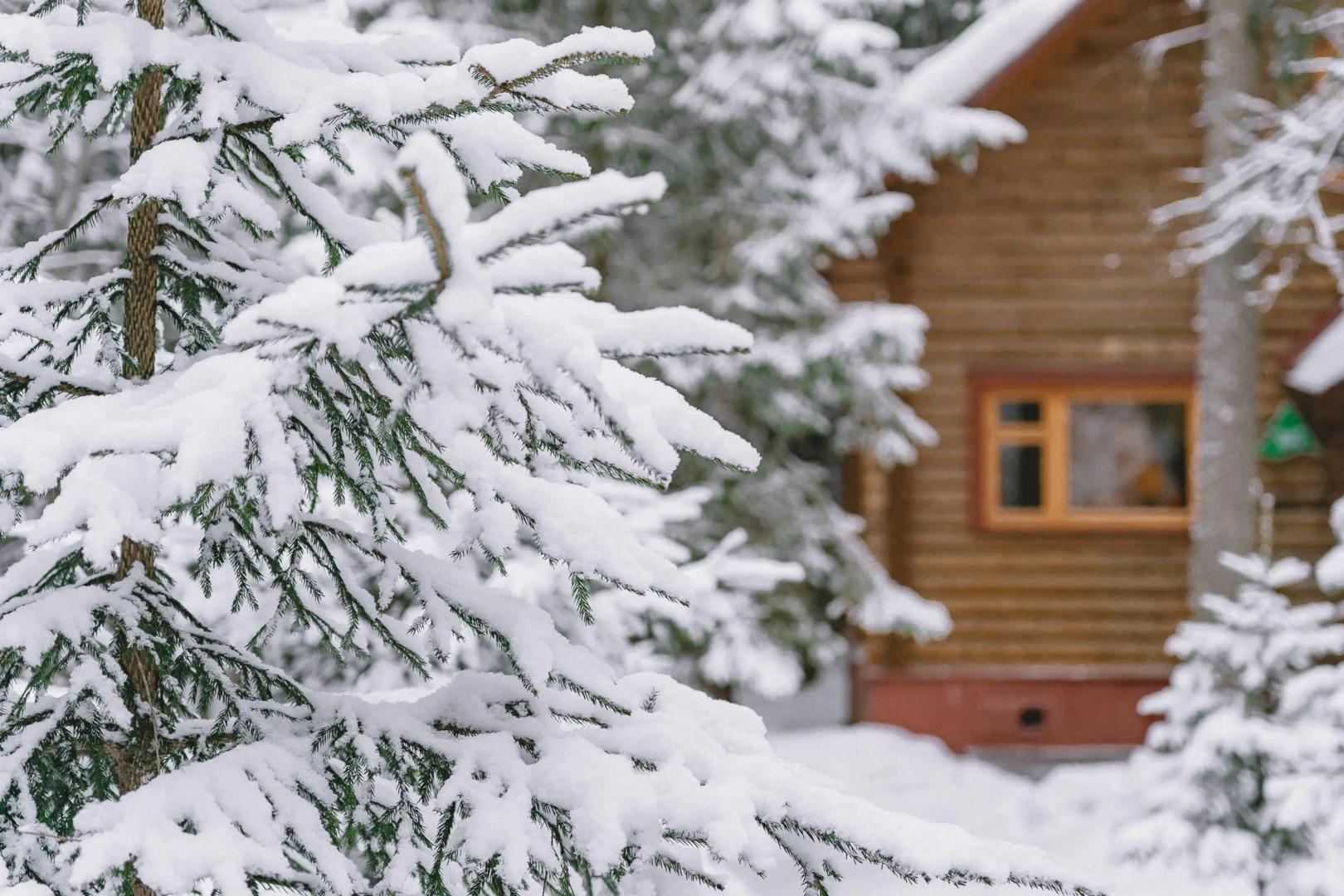 Отель Истра Холидей