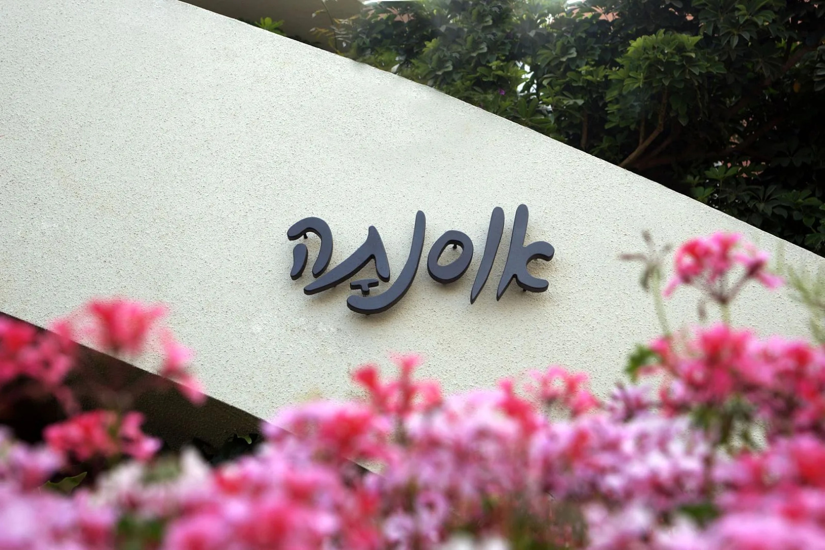 Шале Osnata Butique Suites