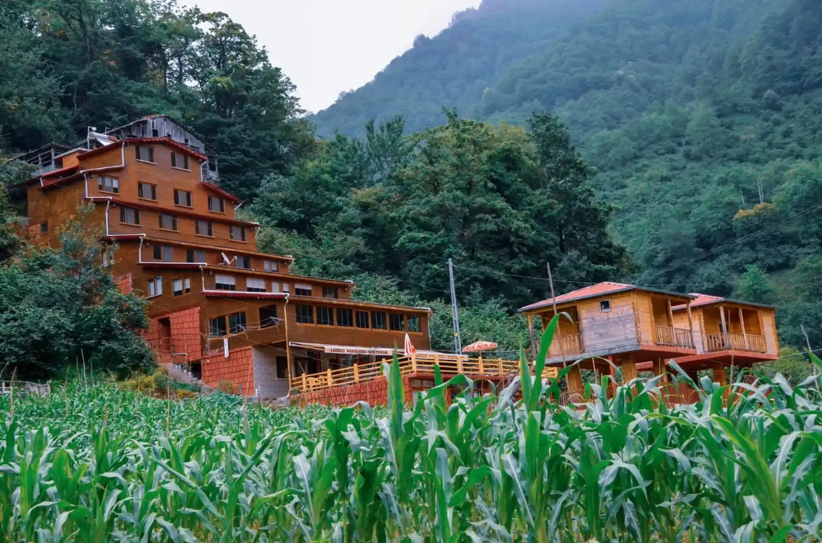 Отель Gogalay Bungalov