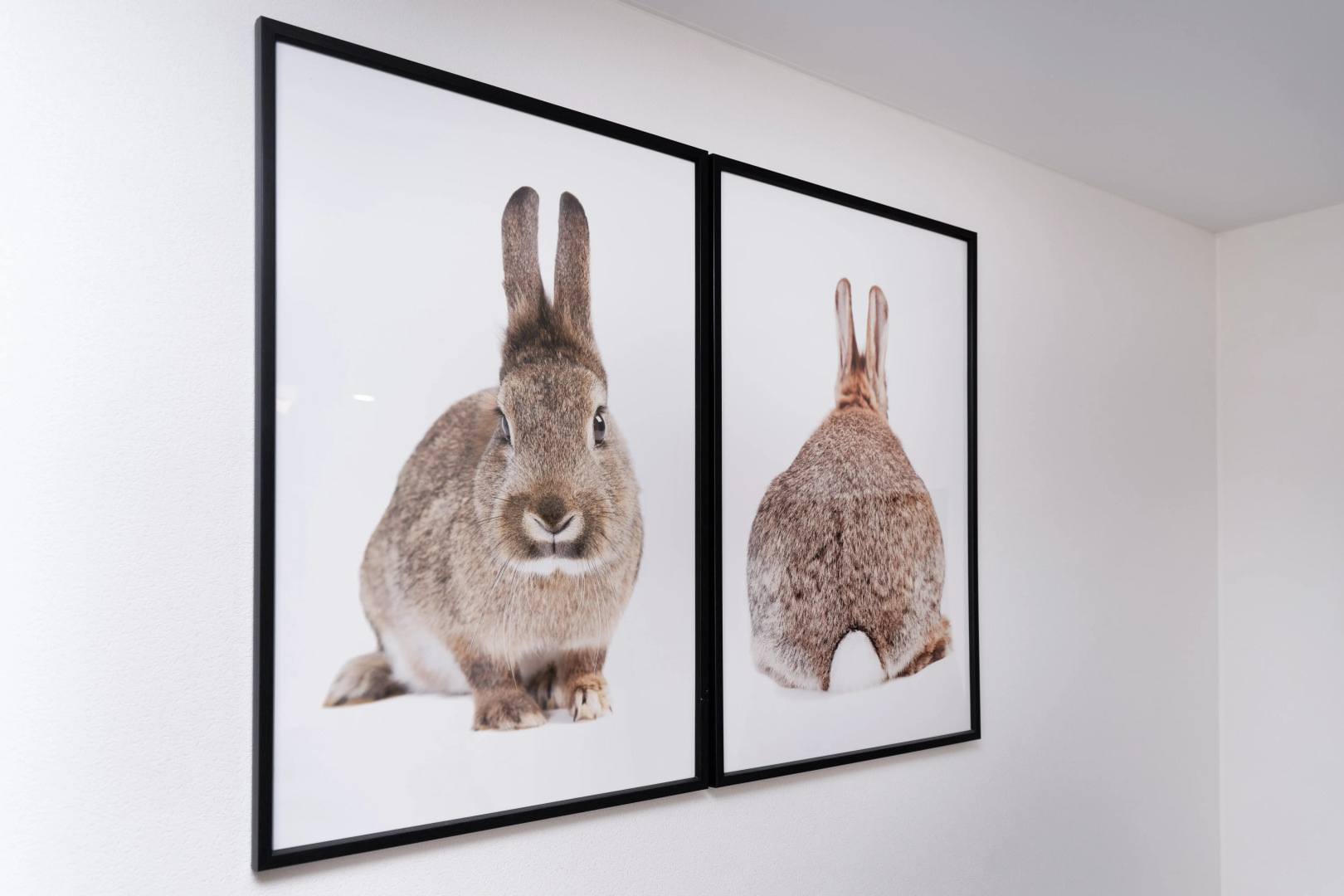 Квартира уютная на Берегу Иртыша