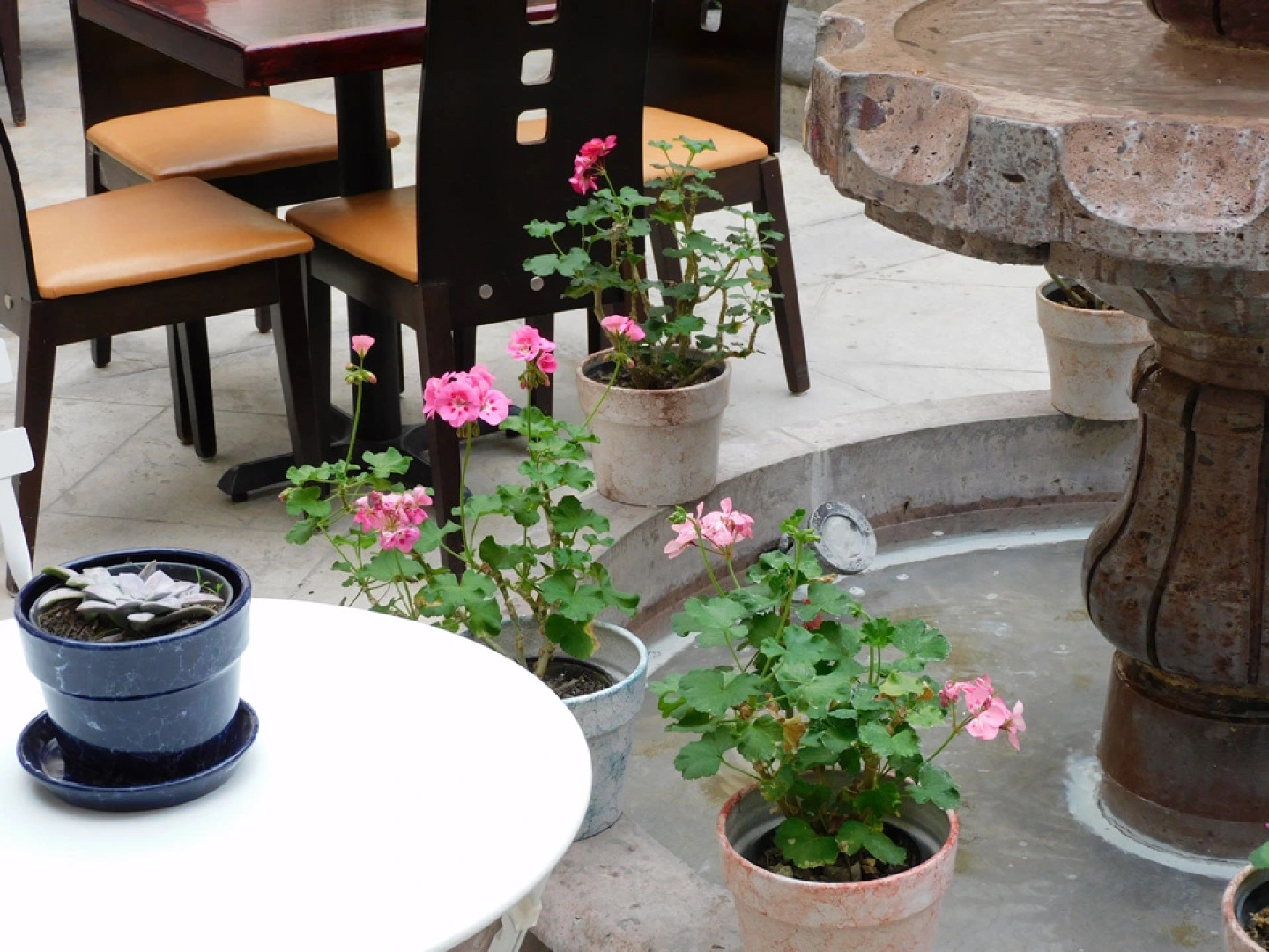 Отель Quinta Alhondiga Galindo Culture Boutique by Rotamundos