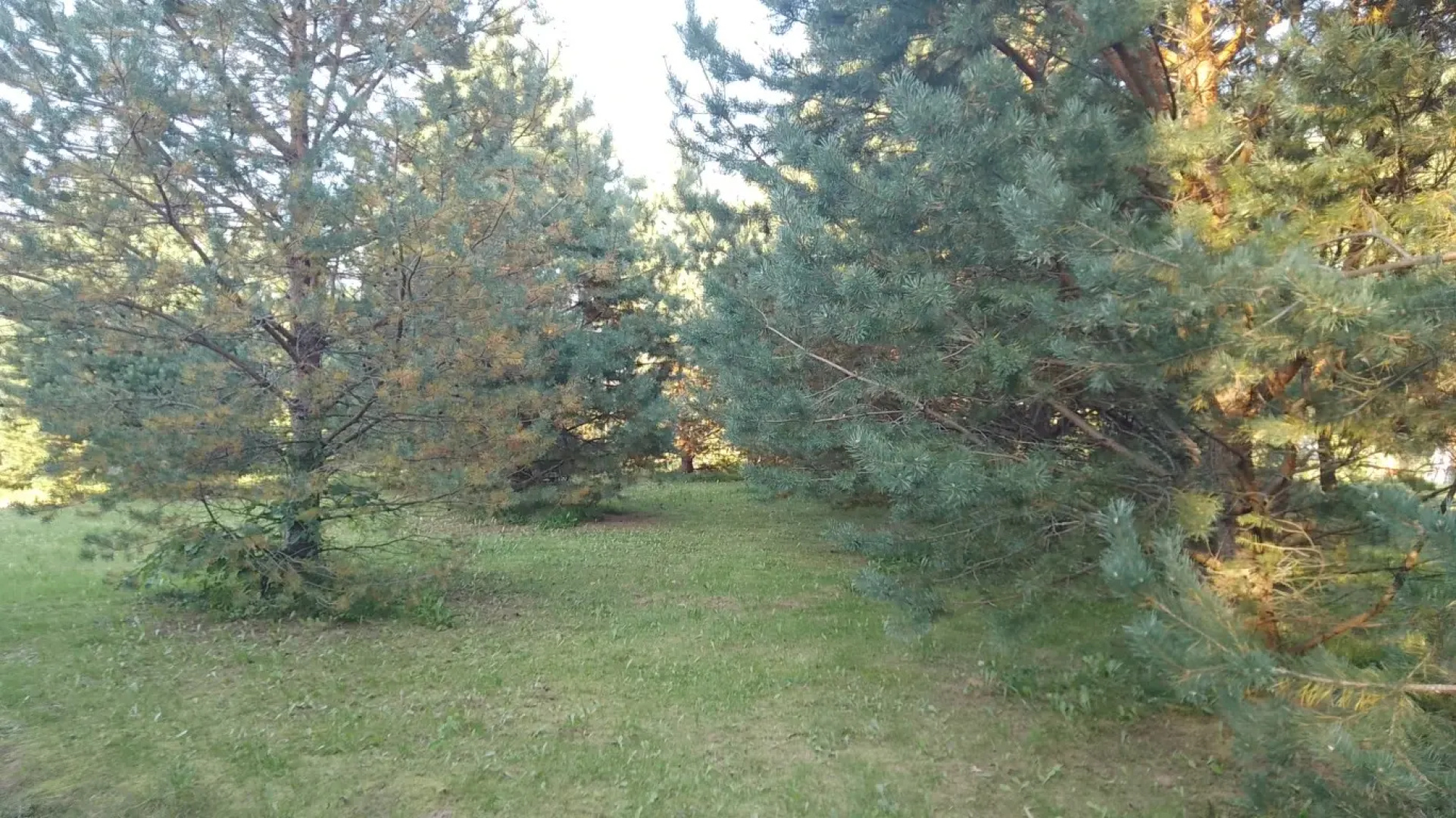 Частный дом Хитрый Лис