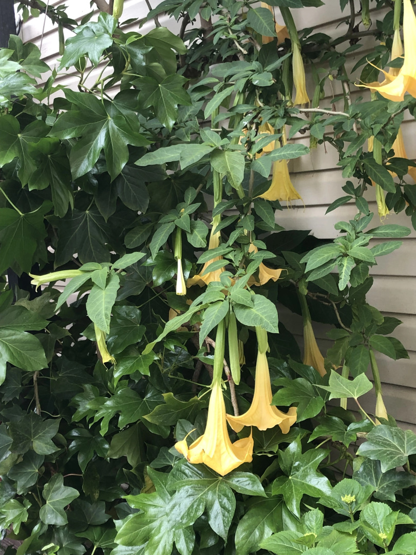 Гостевой дом Морская сказка