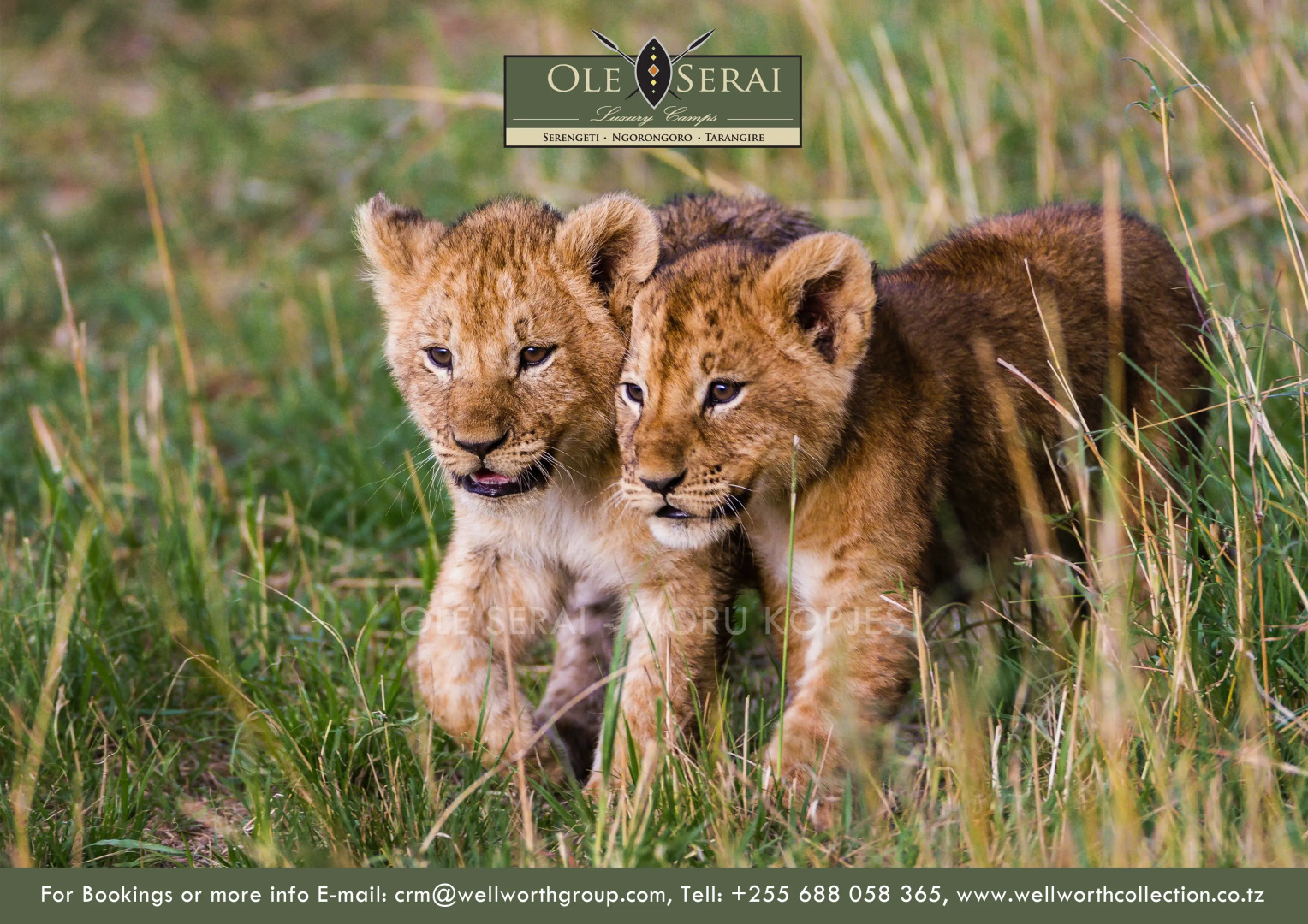 Отель Ole Serai Luxury Camp