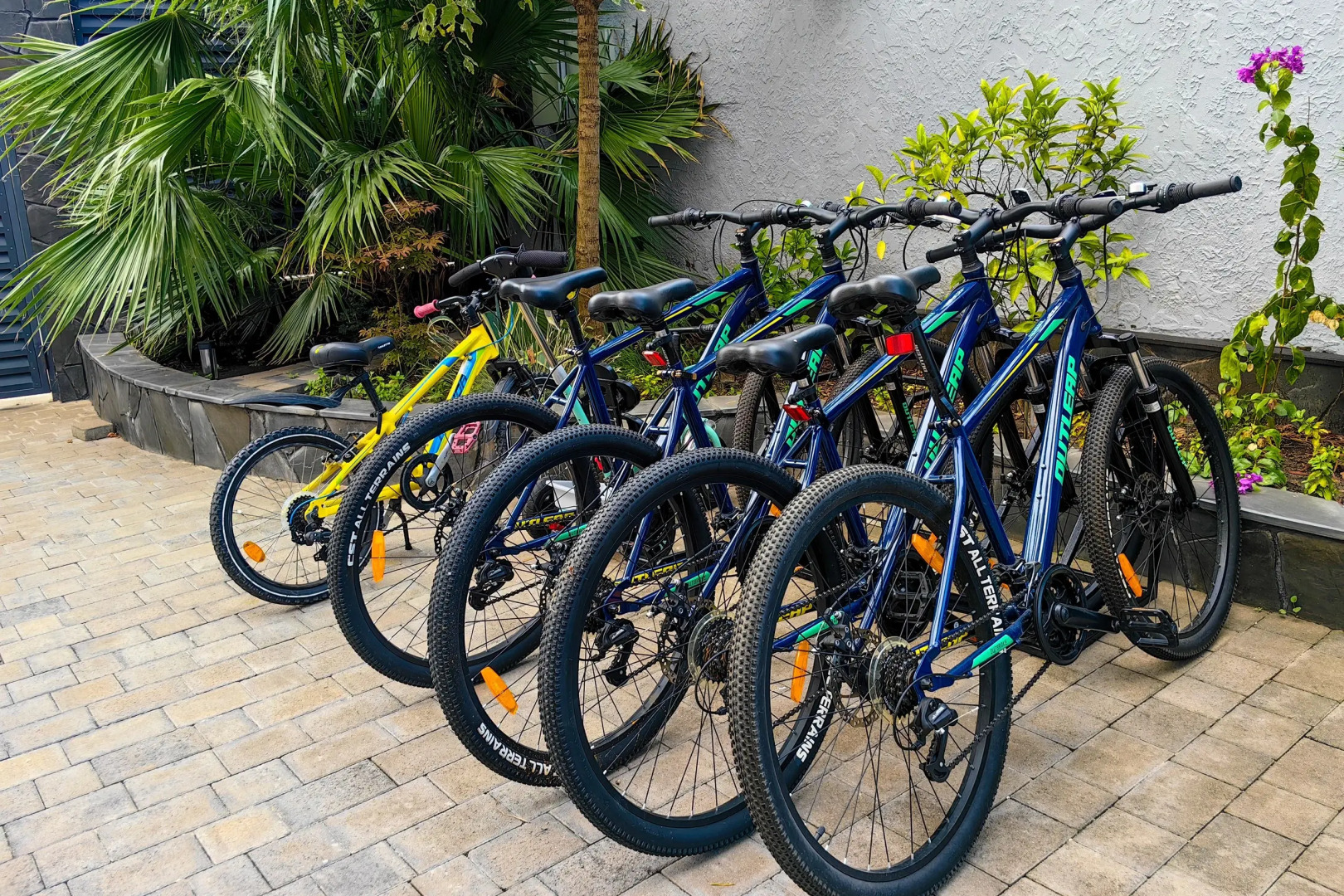 Меблированные комнаты Лалеби