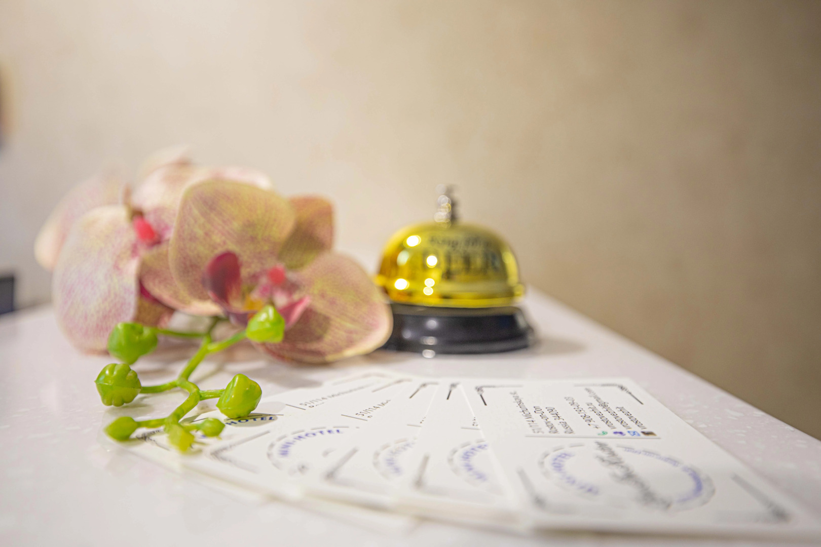 Мини-отель В Ростове Жить