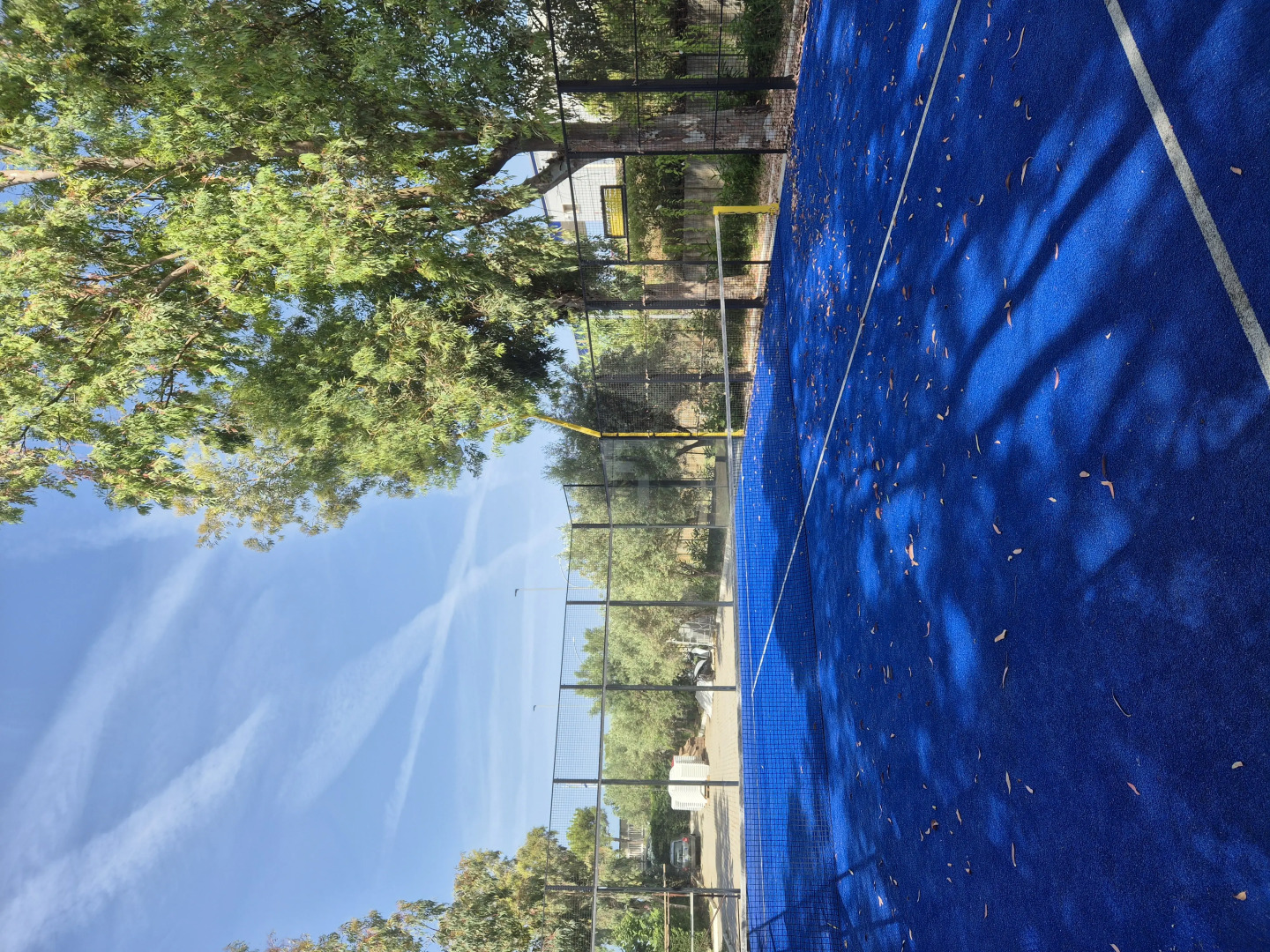 Отель Suite Hotel Club Dominicus