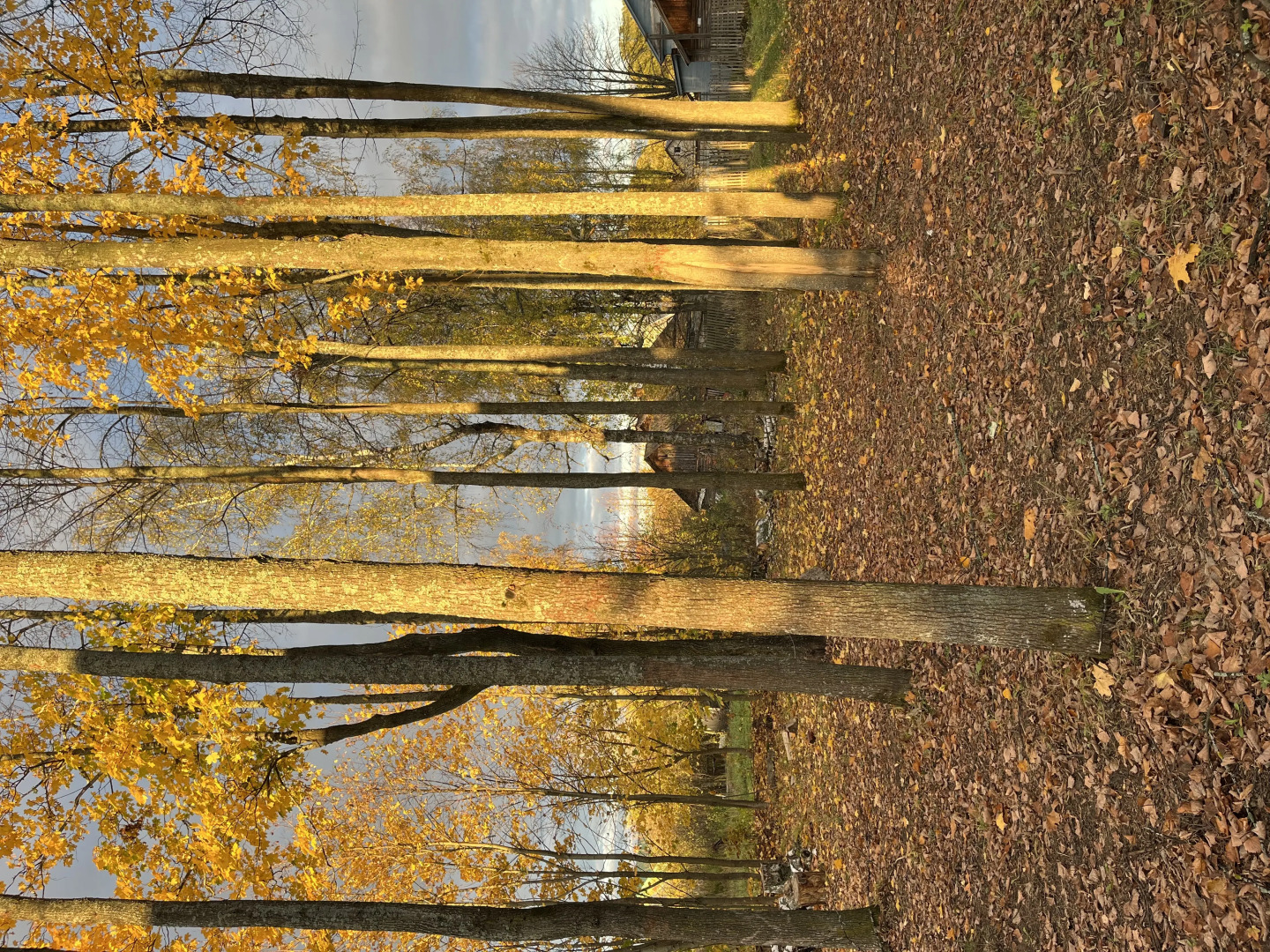 Гостевой Дом Дом-Театр