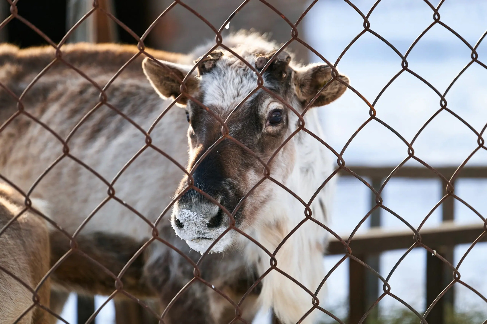 Отель Карым-Муны