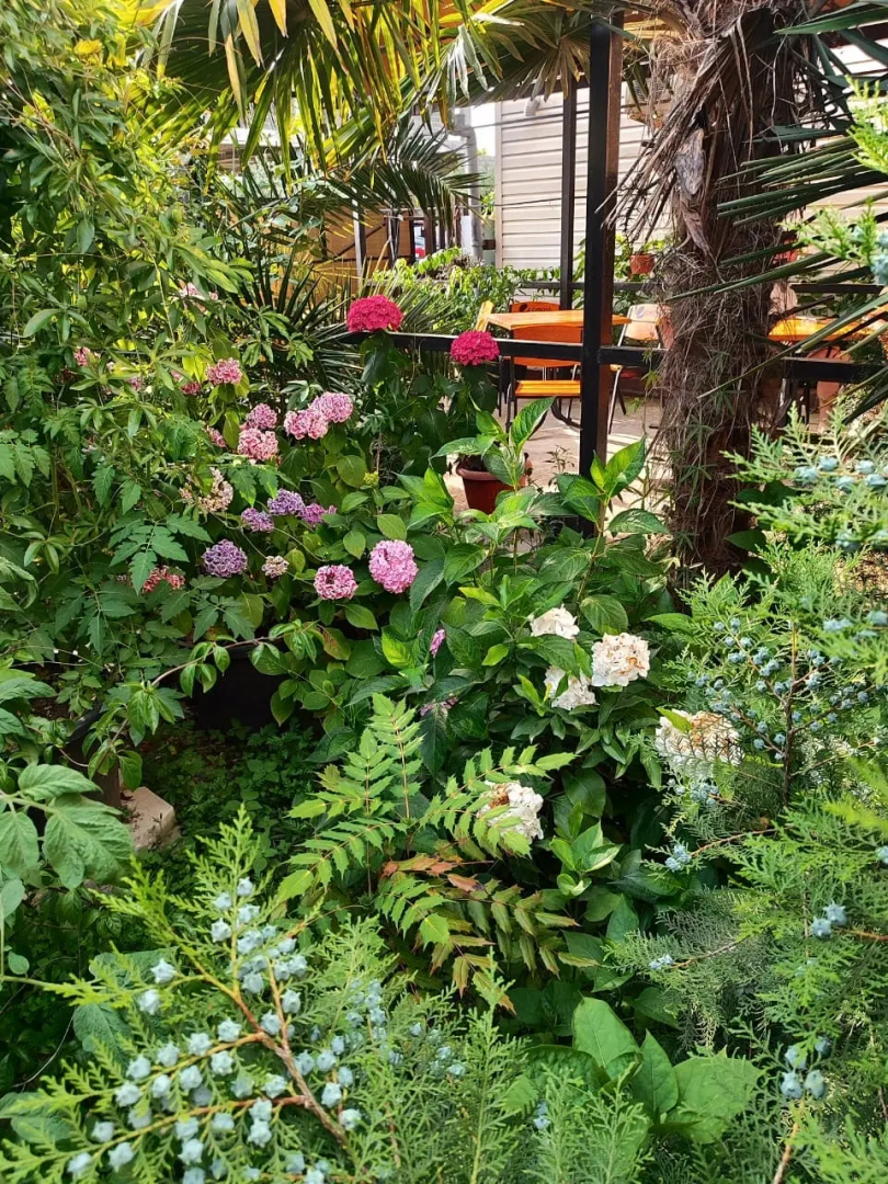 Гостевой дом Морская сказка