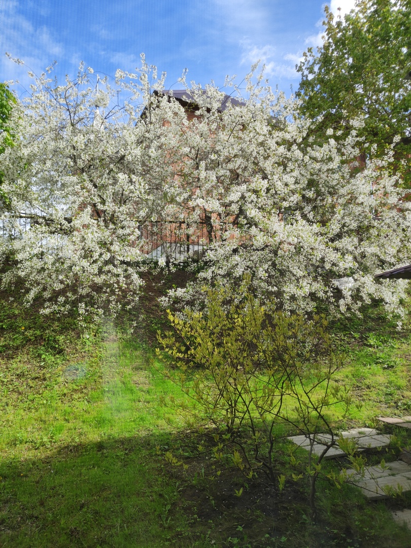 Апартаменты на Гражданской №5