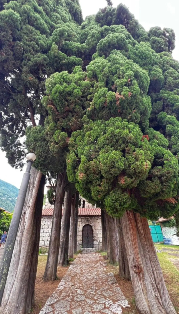 Гостевой Дом Ahan