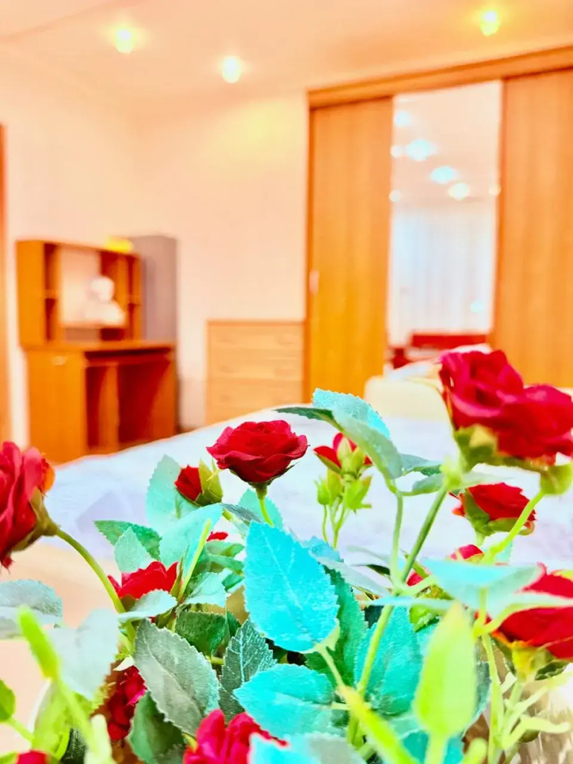 Квартира на Пионерской