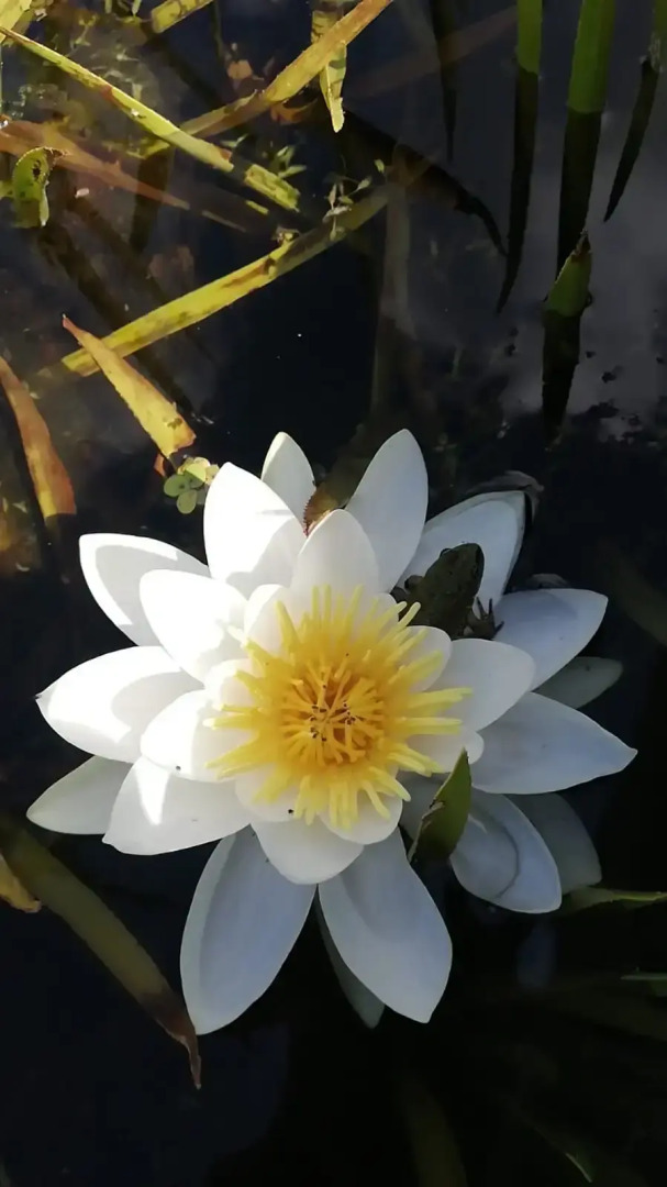 Жилое помещение Dao View Ясные просторы